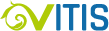 logo programu BI do analiz VITIS